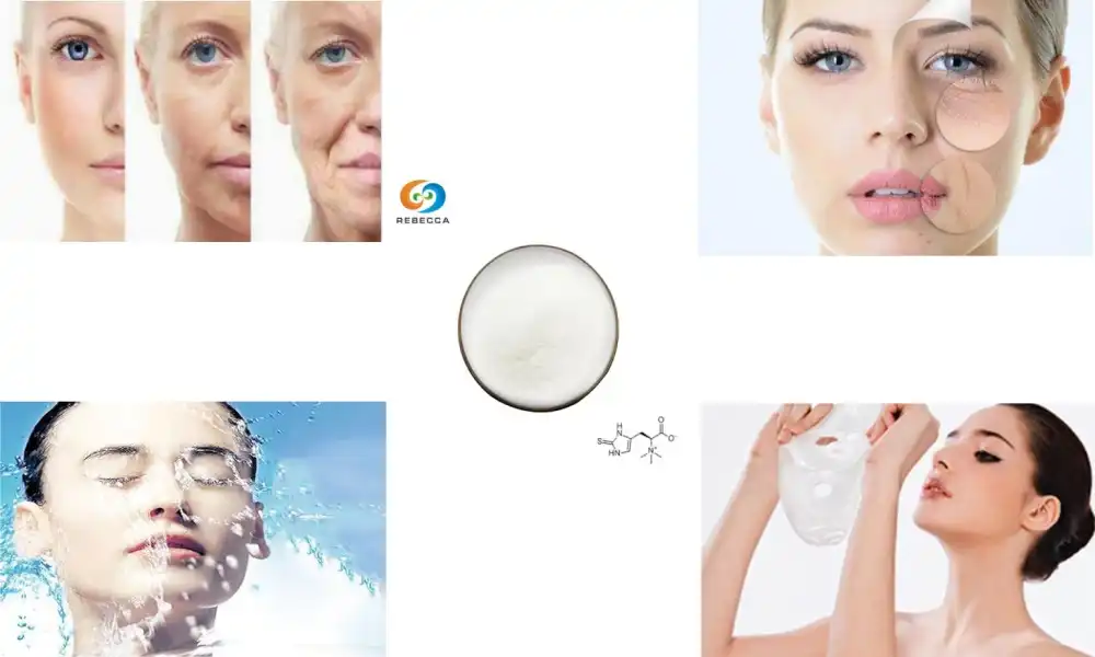 L Ergothioneine Powder: Fight Aging and Skin Damage Naturally